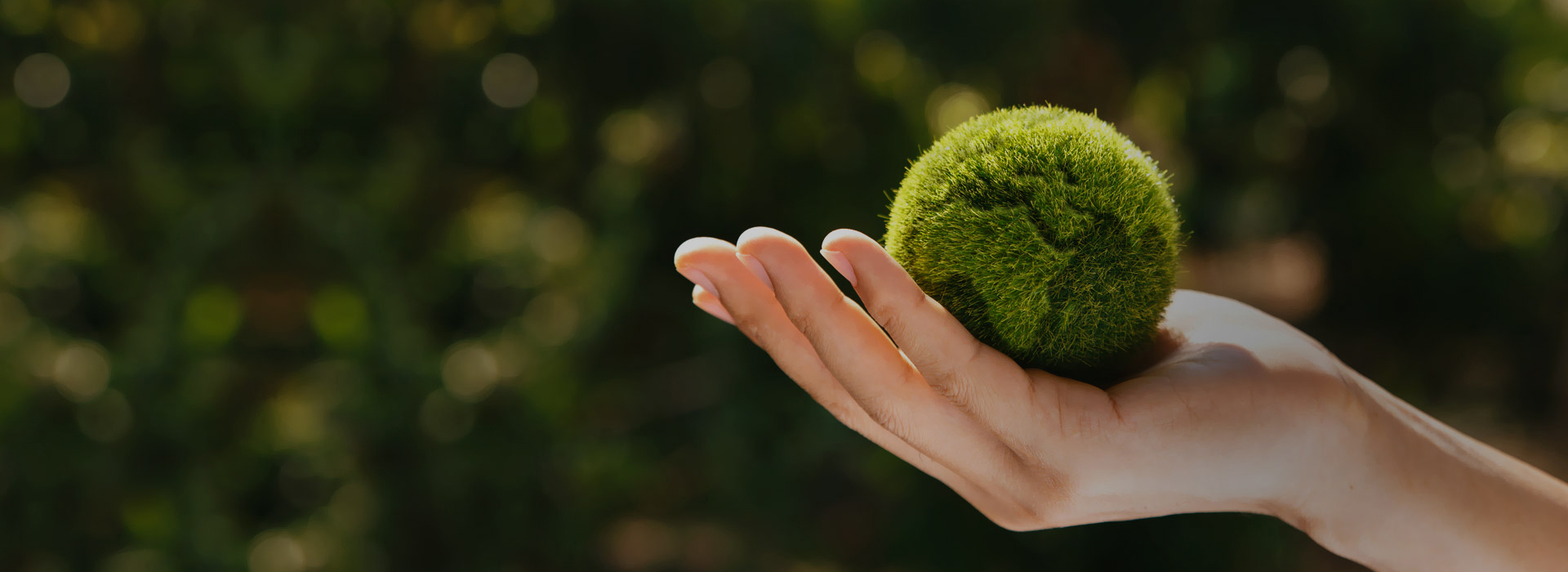 지속 가능한 발전